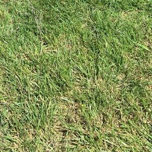 Meet your Posher, Natalia